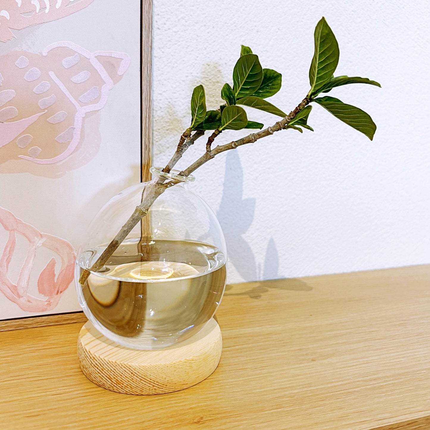Hydroponic Bubble Vase