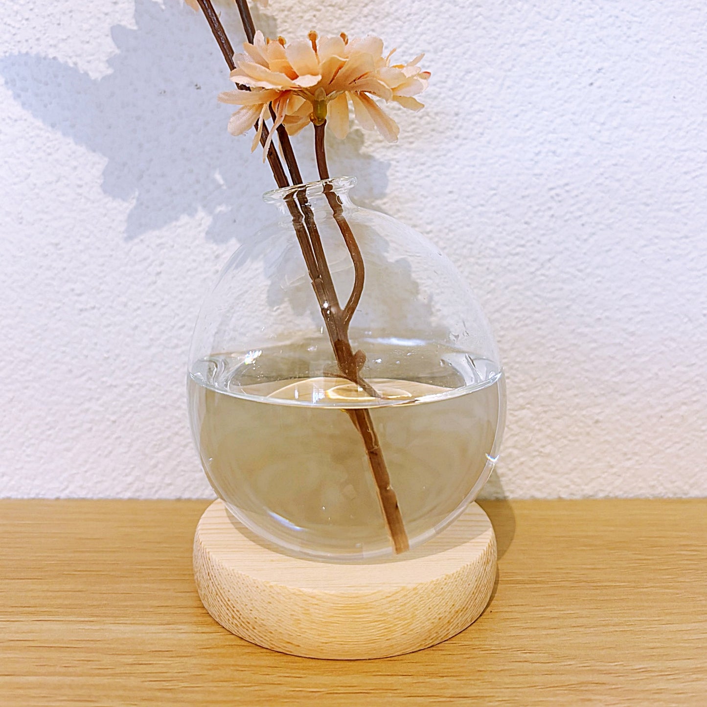 Hydroponic Bubble Vase