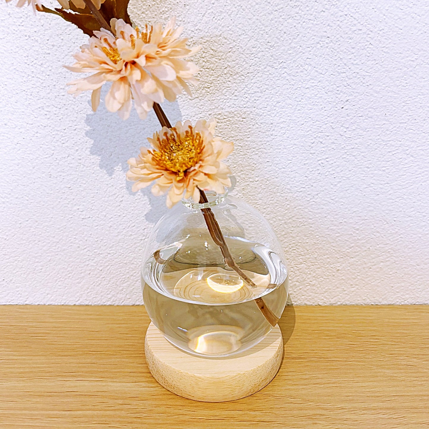 Hydroponic Bubble Vase