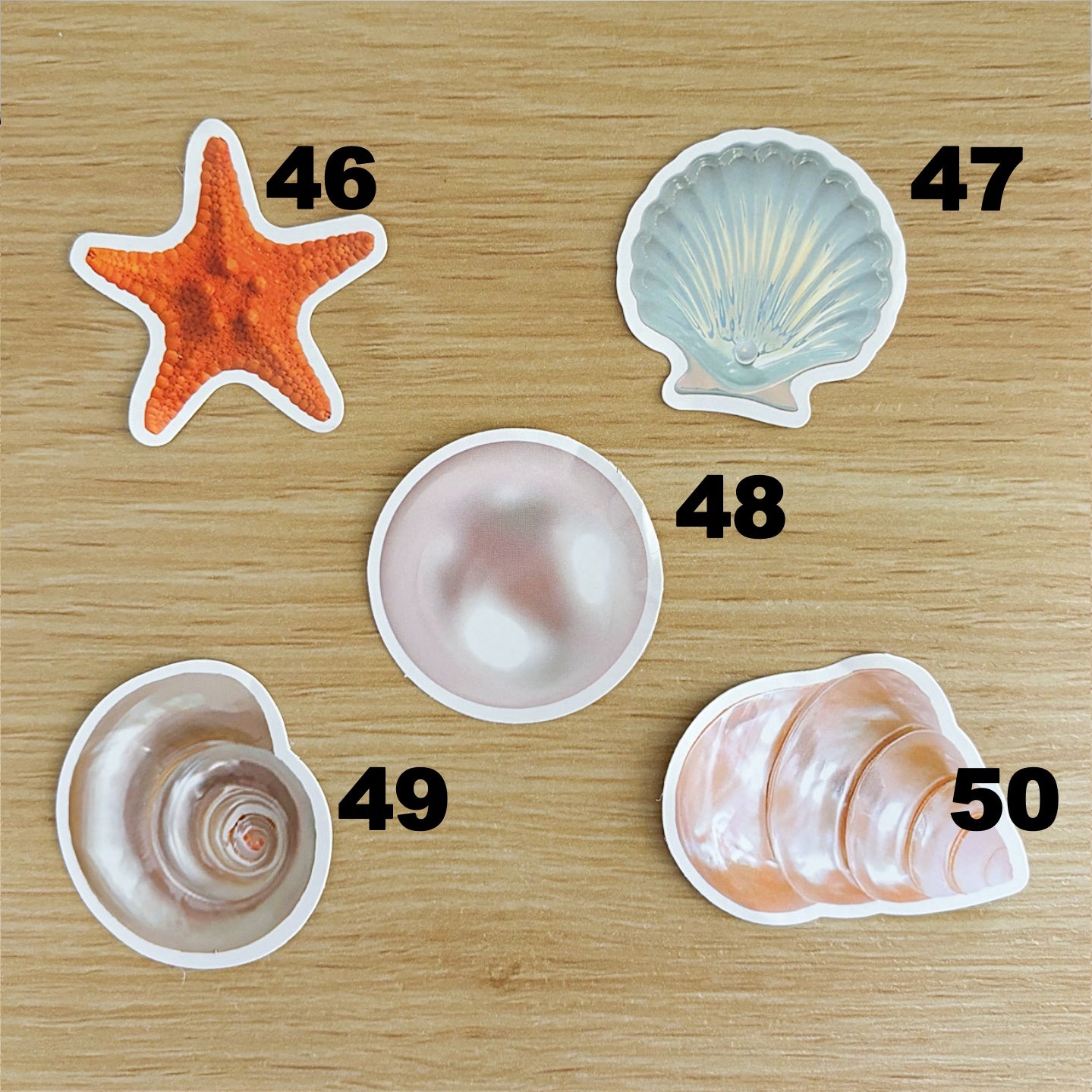 Sea Shell Stickers
