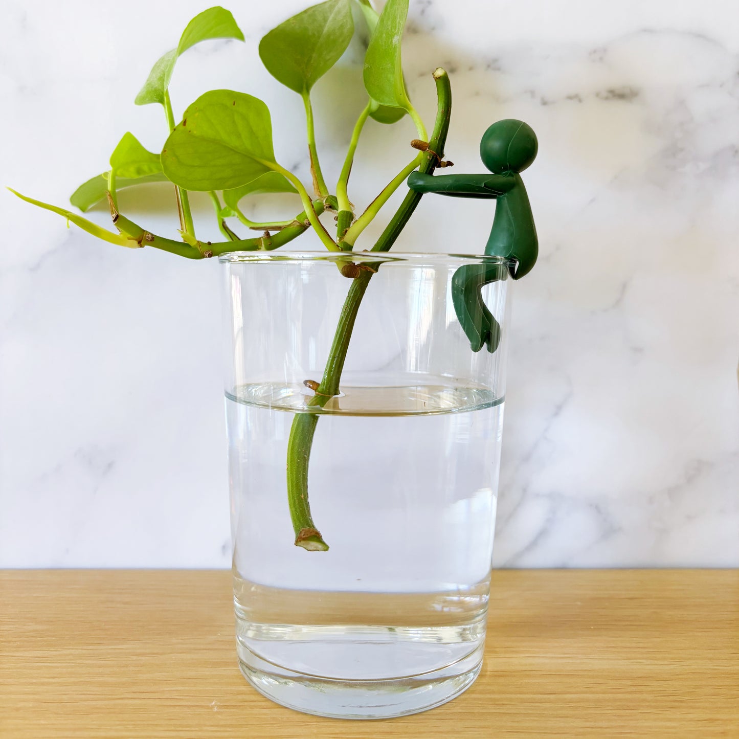 Mini Men Plant Huggers