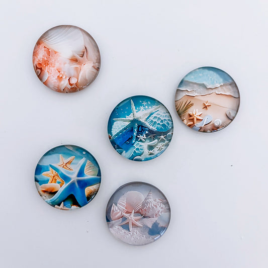 Beach Magnets