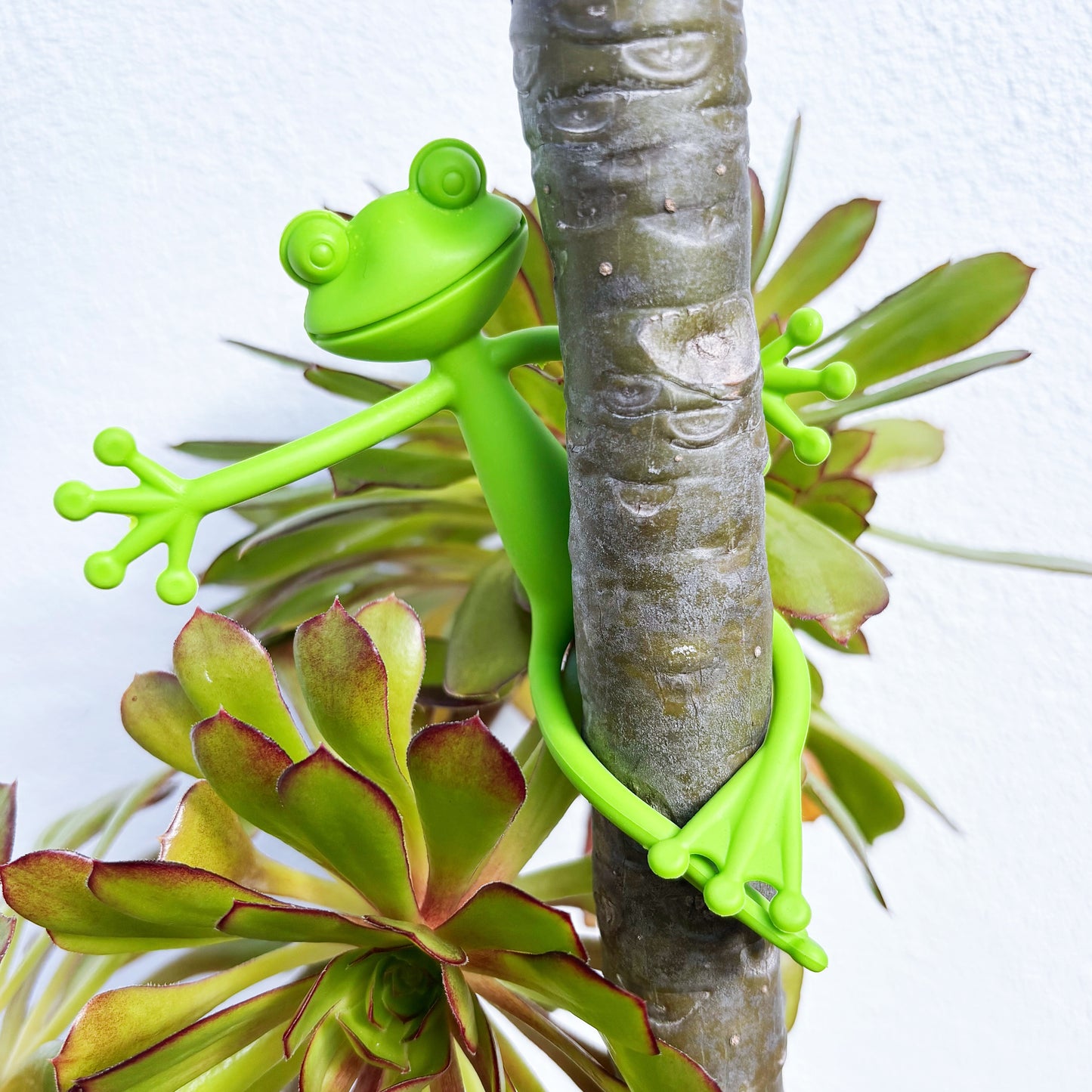 Froggy Plant Huggers