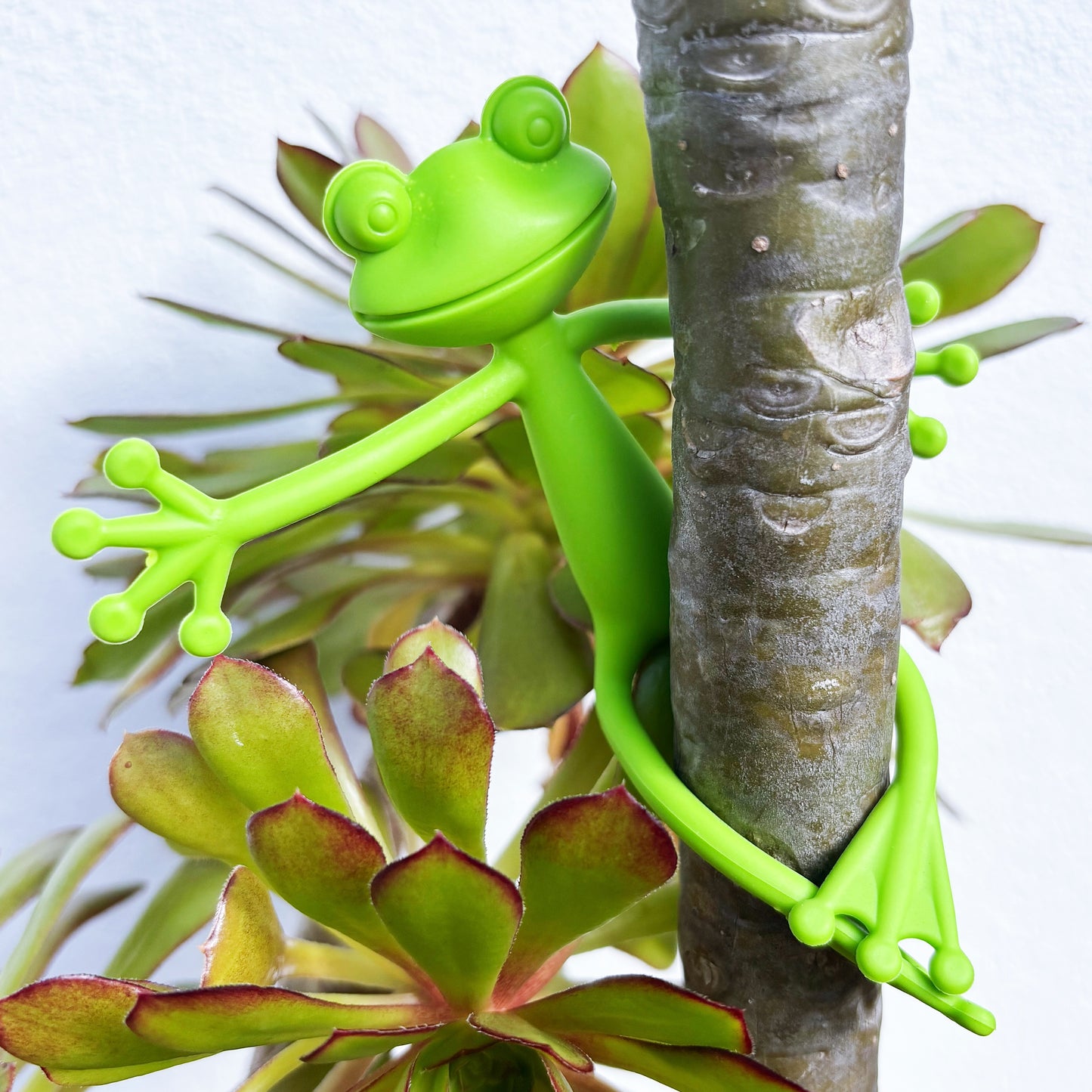 Froggy Plant Huggers