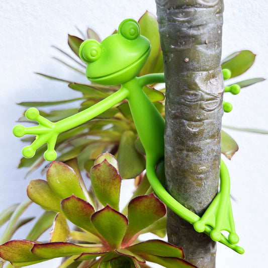 Froggy Plant Huggers